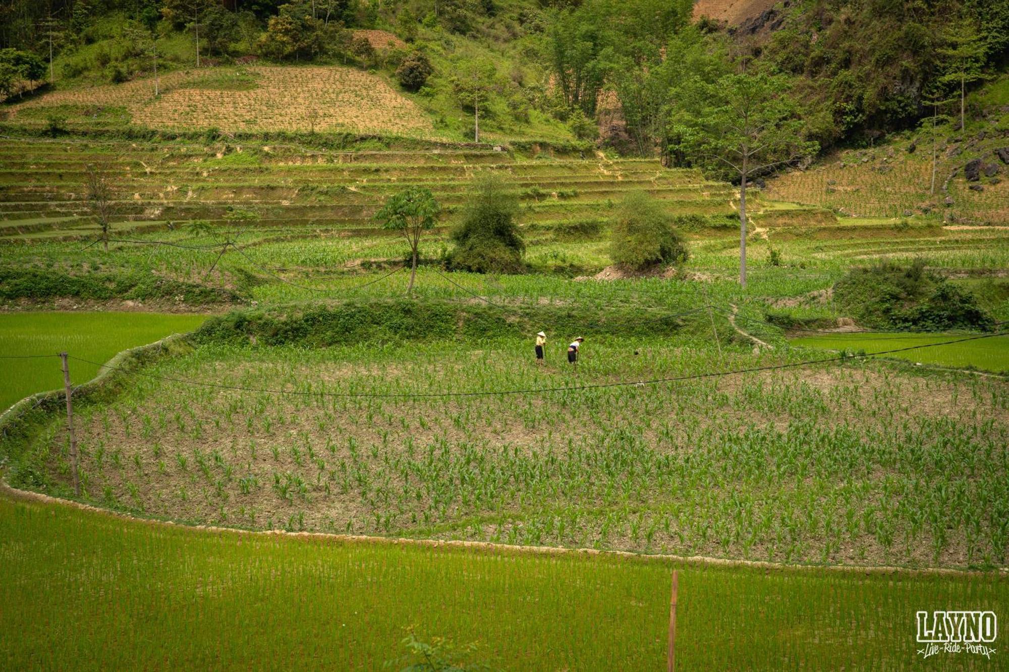 Quiri Hostel Ha Giang Lang Lap Екстериор снимка